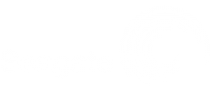 Seagate_Logo_white