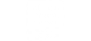 cisco_Partner_white