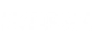 clipsal_logo_white
